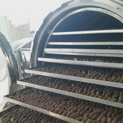 Vacuümroestvrij staal Industriële Vorst - droog Fruitmachine